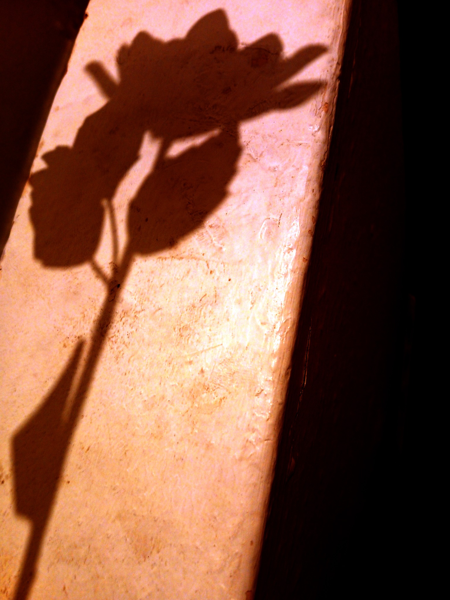 The weight of Light
